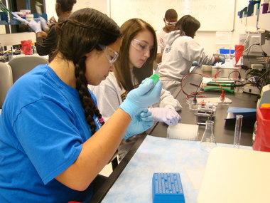 Photo: students participating in biochemitry lab excercise