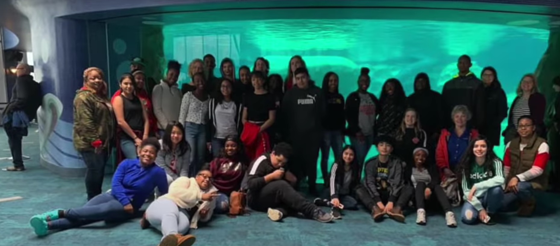 Athens Aquarium Visit Group